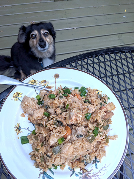 Chicken Fried Rice - Nifty Nicki's Recipes & More